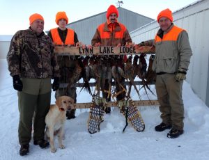 Lynn Lake Lodge Pheasant Hunting